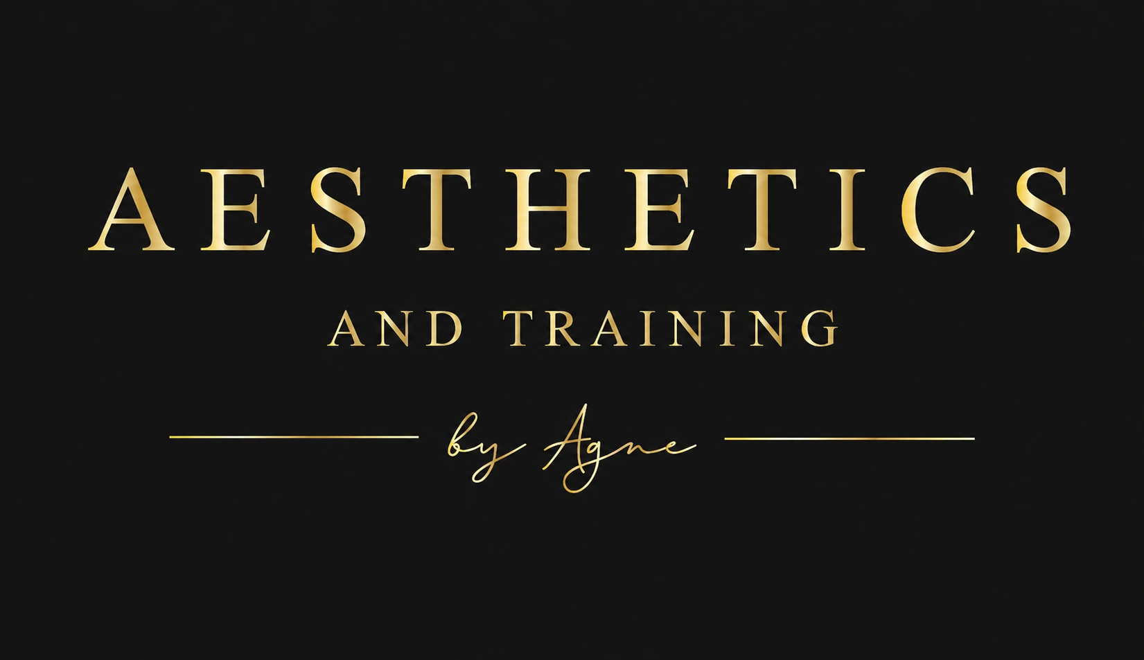 Aesthetics and Training by Agne